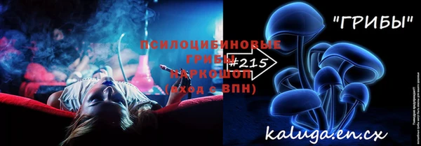 меф Богородицк