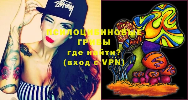 гидропоника Богданович