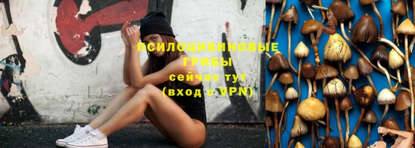 гидропоника Богданович