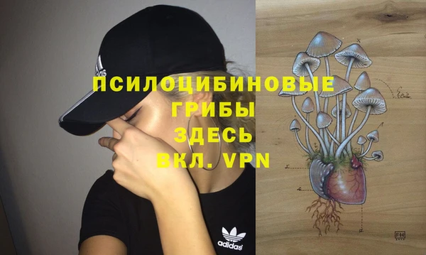 гидропоника Богданович