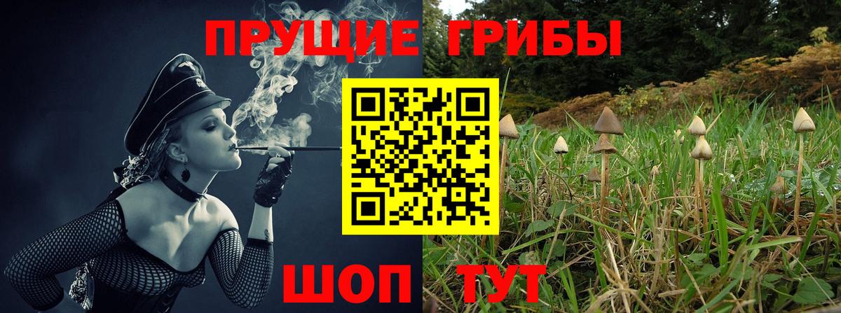 Горячий Ключ  Галлюциногенные грибы MAGIC MUSHROOMS  где купить наркоту  Галлюциногенные грибы GOLDEN TEACHER  Вход с VPN 